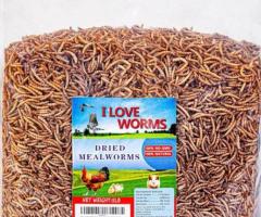 Dried Mealworms