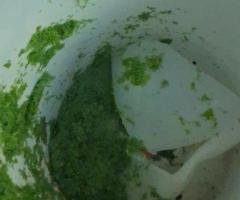 Duckweed Scooper - 2/3