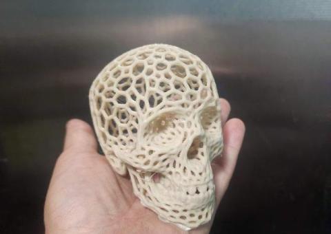 3d Printed Skull