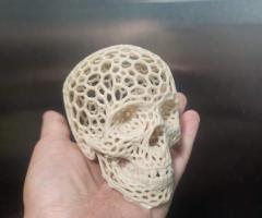 3d Printed Skull