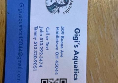 All Aquarium maintenance filter services set ups and tear hands or unwanted equipment