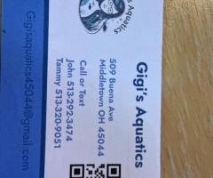 All Aquarium maintenance filter services set ups and tear hands or unwanted equipment