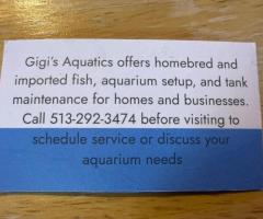 All Aquarium maintenance filter services set ups and tear hands or unwanted equipment - 3/4
